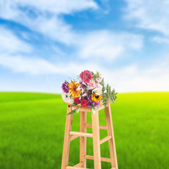 Lofaris Green Grassland And Blue Sky Photography Backdrop