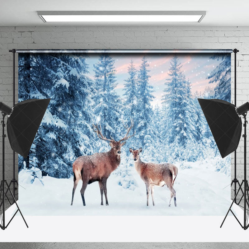 Lofaris Harmonious Deer Moment Wintery Dusk Forest Backdrop