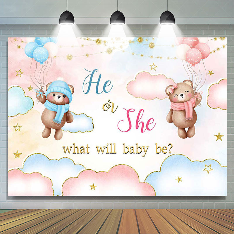 Lofaris He Or She Blue Pink Cloud Bear Gender Reveal Backdrop