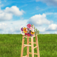 Lofaris Lovely Clouds Lush Grassland Photography Backdrop