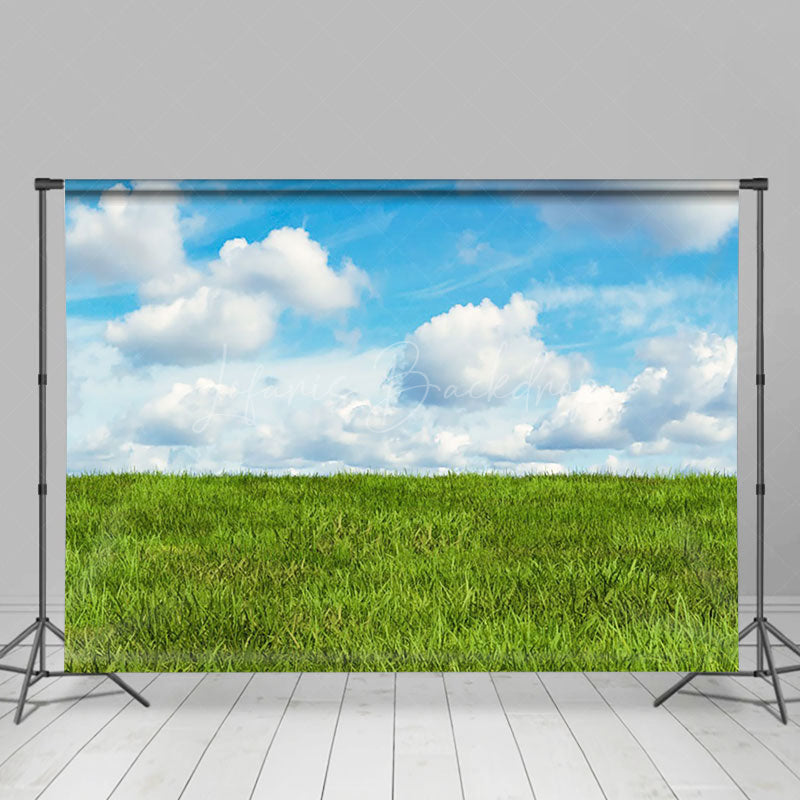 Lofaris Lovely Clouds Lush Grassland Photography Backdrop