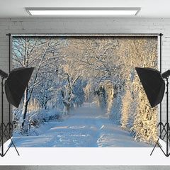 Lofaris Peaceful Winter Forest Pathway Sunlit Scene Backdrop