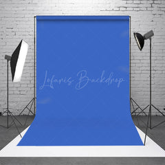 Lofaris Retro Blue Solid Color Portrait Backdrop For Photography