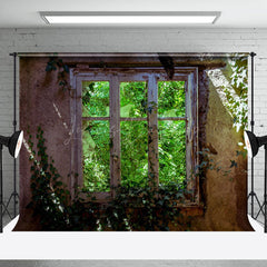 Lofaris Retro Stone Window Greenery Sunlight Spring Backdrop