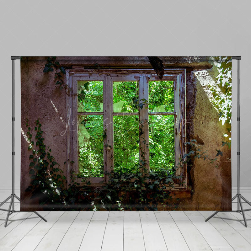 Lofaris Retro Stone Window Greenery Sunlight Spring Backdrop