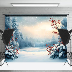 Lofaris Serene Winter Landscape Wishing Well Wishes Backdrop