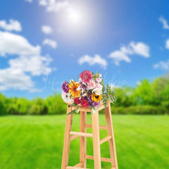 Lofaris Simple Blue Sky Grassland Natural Scenery Backdrop