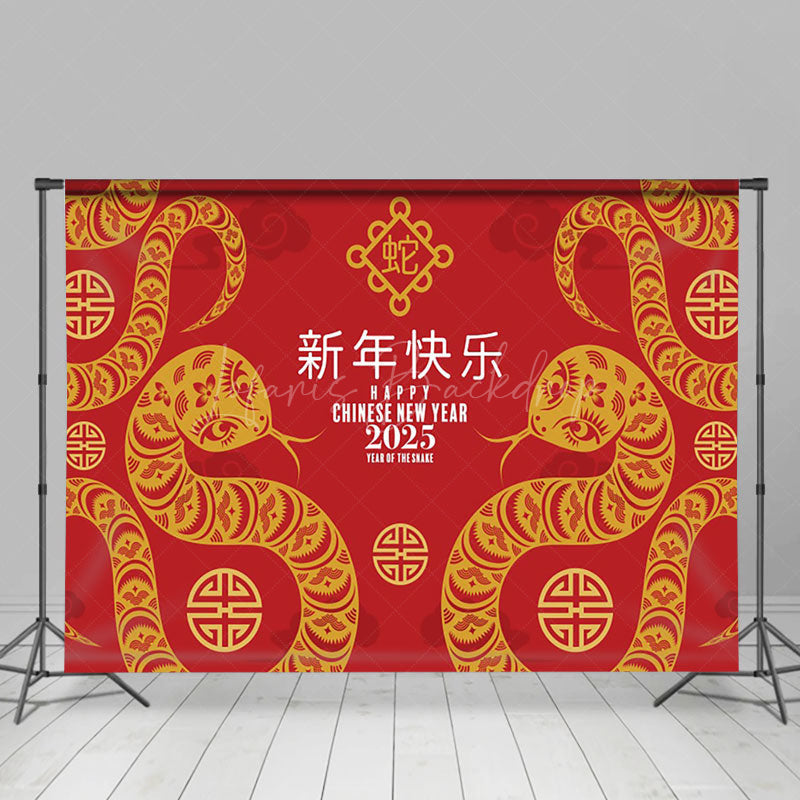 Lofaris Simple Chinese Knot Zodiac Snake New Year Backdrop