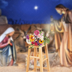 Lofaris Starry Night Bullpen Nativity Christmas Backdrop