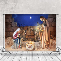 Lofaris Starry Night Bullpen Nativity Christmas Backdrop