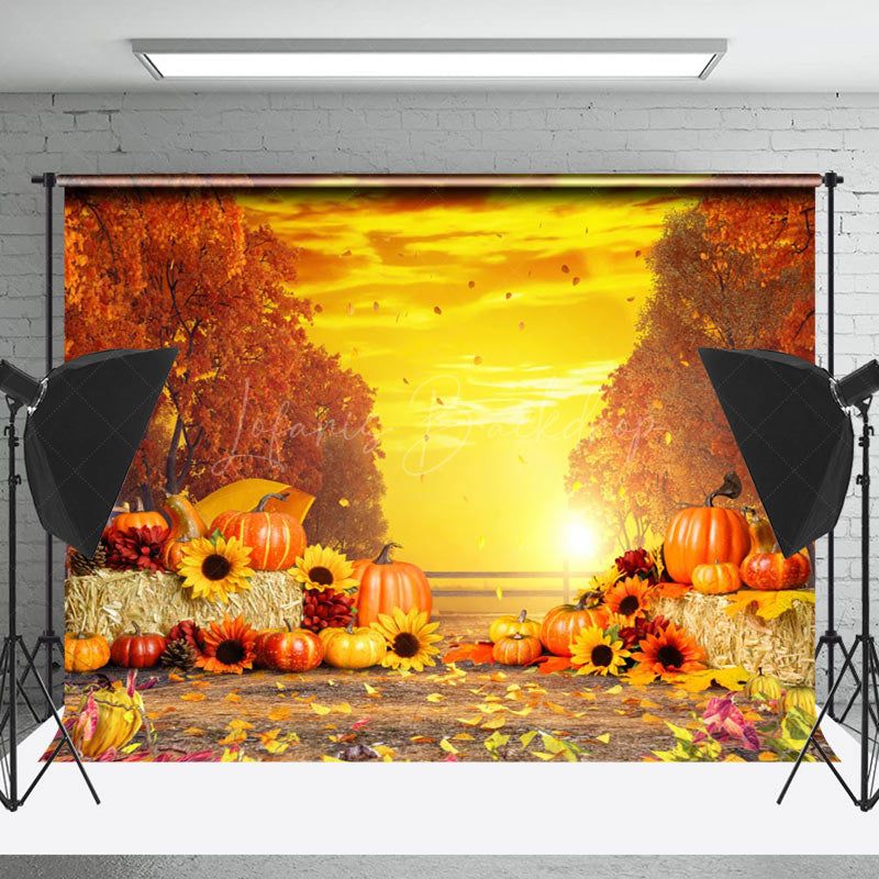 Lofaris Sunset Cloud Maple Trees Pumpkin Autumn Backdrop