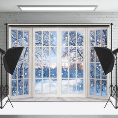 Lofaris Tranquil Winter Landscape Frost Windowpane Backdrop