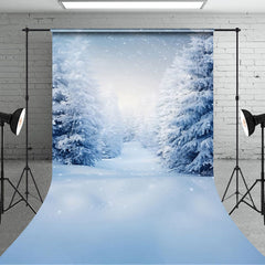 Lofaris Tranquil Winter Wonderland Snowy Footpath Backdrop