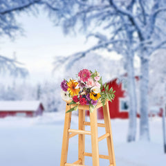 Lofaris Winter Snowy Wild Field Red House Scene Backdrop