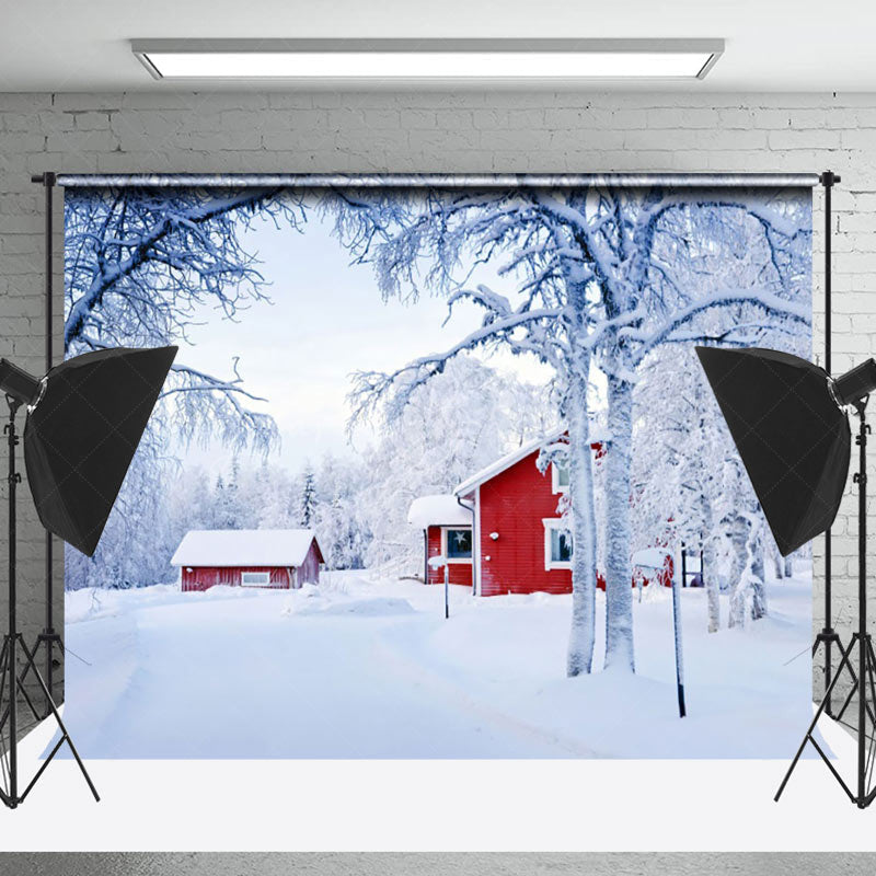 Lofaris Winter Snowy Wild Field Red House Scene Backdrop