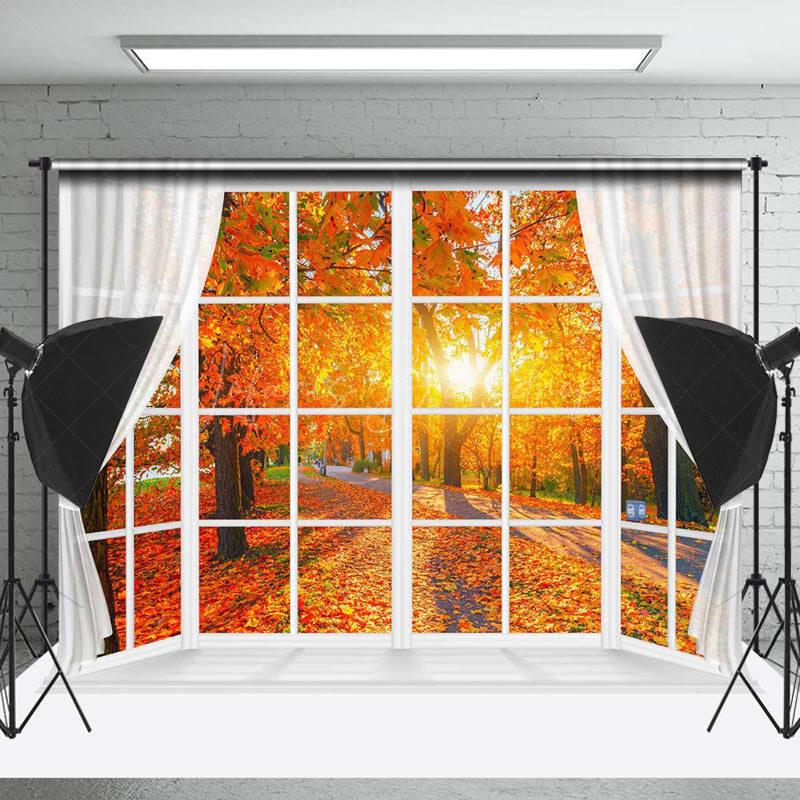 Lofaris Maple Grove Sunlight Window Autumn Scenery Backdrop