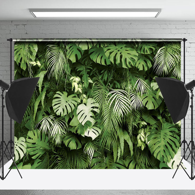 Lofaris Monstera Summer Tropical Scenery Photography Backdrop