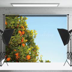 Lofaris Orange Trees Under The Blue Sky Fruit Photo Backdrop