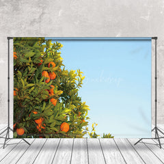 Lofaris Orange Trees Under The Blue Sky Fruit Photo Backdrop