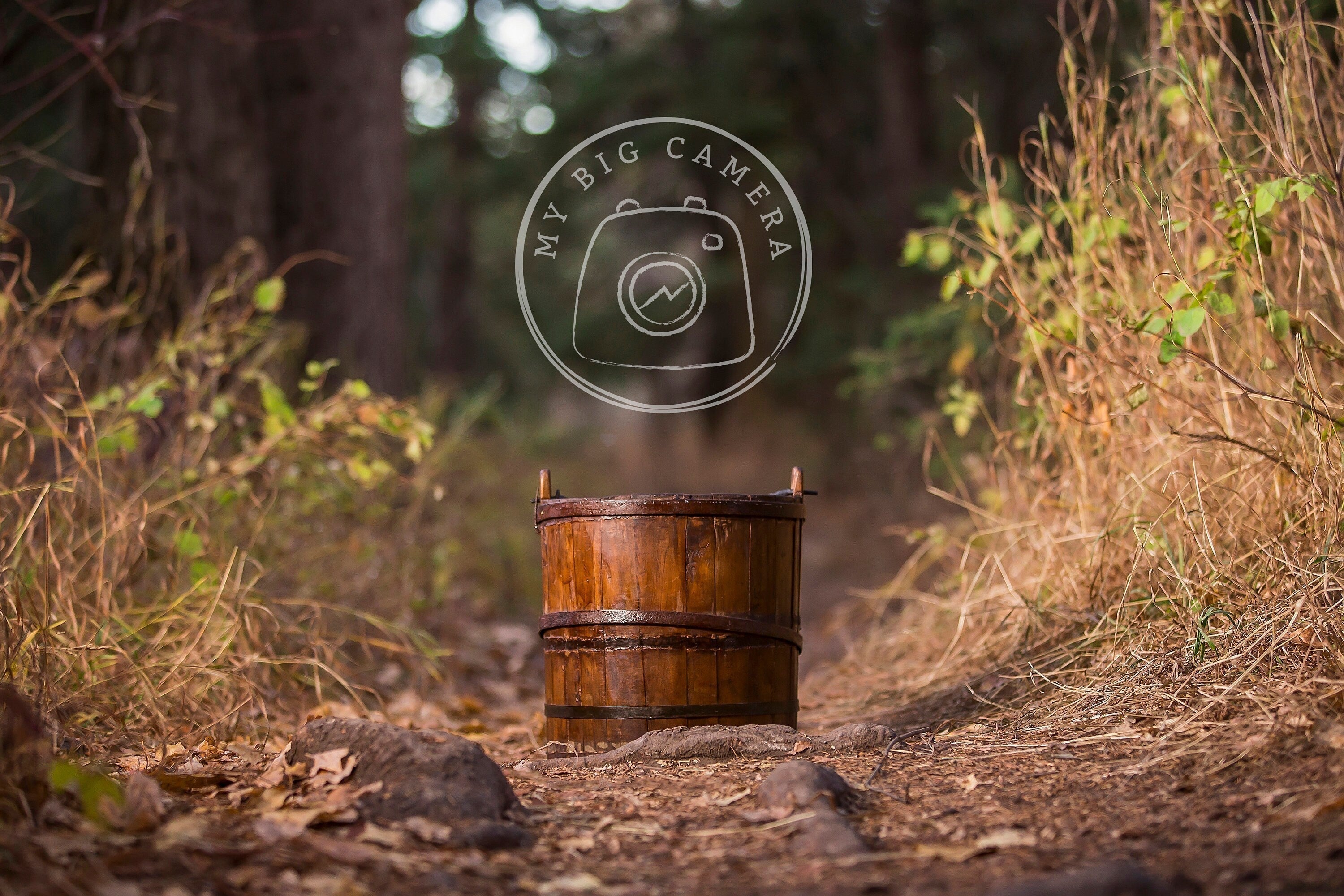 Lofaris Outdoor Bucket In Forest Newborn Photography Backdrop