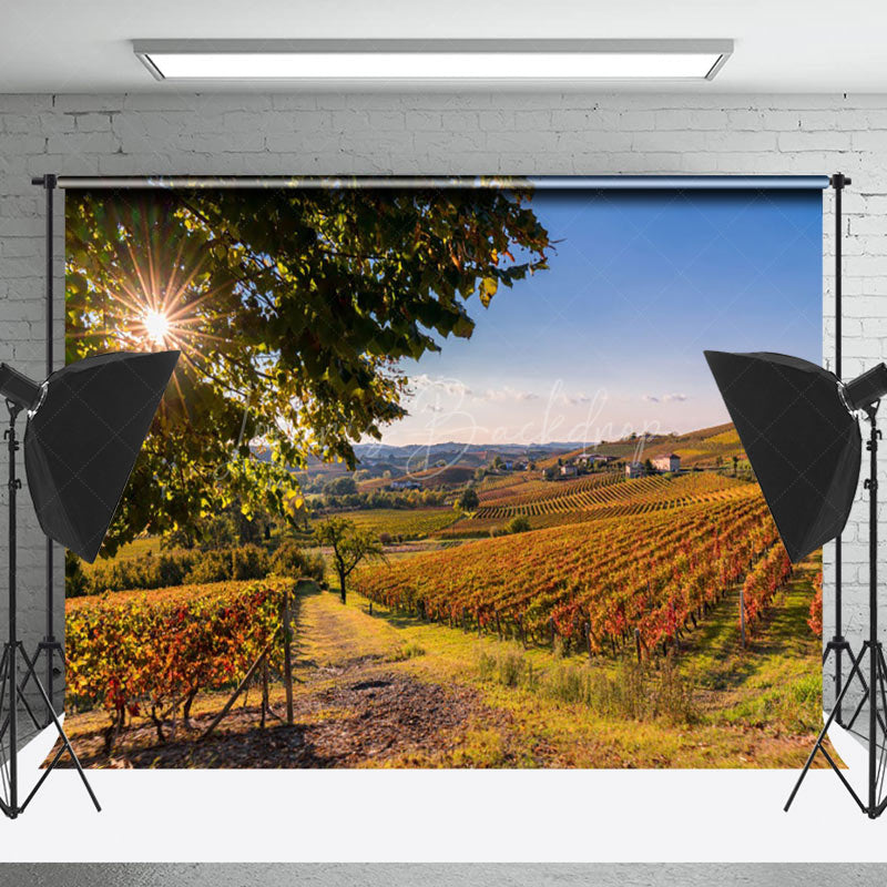 Lofaris Outdoor Vineyard Autumn Natural Scenery Backdrop