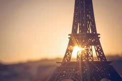 Lofaris Paris Tower Sunshien Photography Valentines Day Backdrop