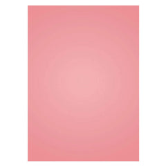 Lofaris Peach Pink Baby Girl Shoot Studio Solid Backdrop