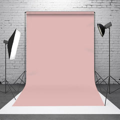 Lofaris Photo Studio Headshots Solid Light Pink Backdrop