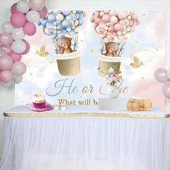 Lofaris Pink Blue Cloud Bear Boho Gender Reveal Backdrop