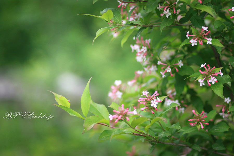 Lofaris Pink Flower Blooming Tree Spring Portrait Backdrop