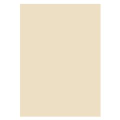 Lofaris Professional Solid Beige Color Backdrop For Photography