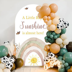 Lofaris Ray Of Sunshine Rainbow Baby Shower Arch Backdrop