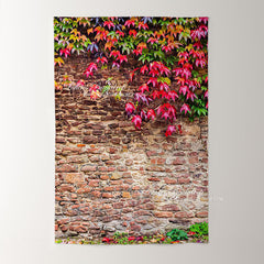 Lofaris Red Green Leaves Vintage Brick Wall Photo Backdrop