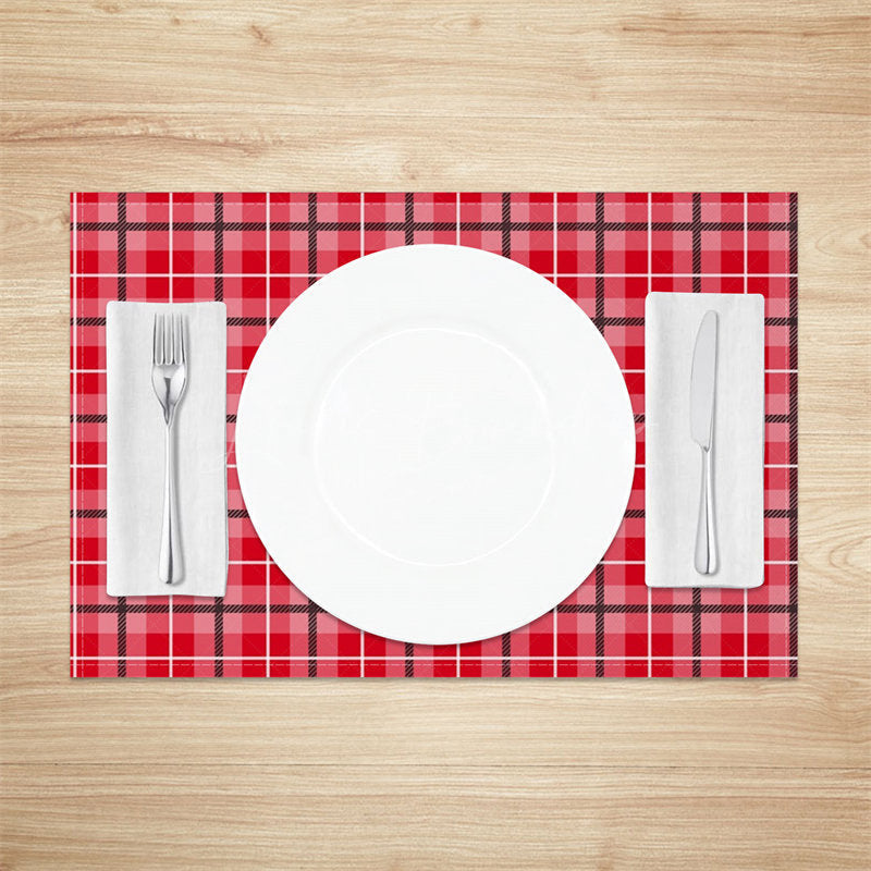 Lofaris Red Pink Plaid White Black Lines Set Of 4 Placemats