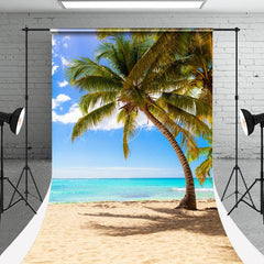 Lofaris Sky Clouds Beach Summer Holiday Photo Sweep Backdrop