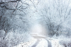 Lofaris Snow Winter Wonderland Forest Photography Backdrop