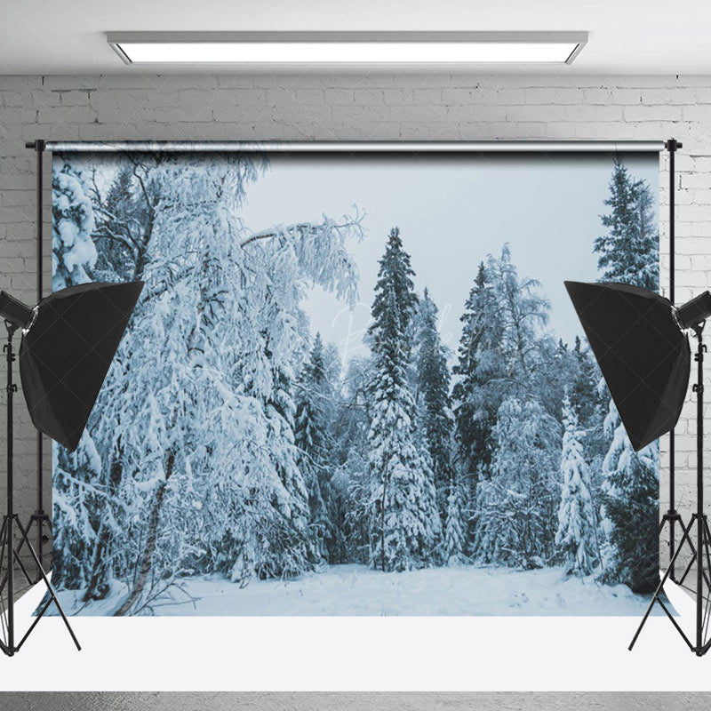 Lofaris Snowy Pine Forest Photography Backdrop In The Evening