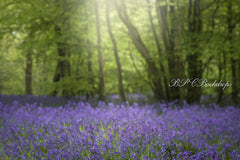 Lofaris Spring Bluebells Flower Portrait Photography Backdrop