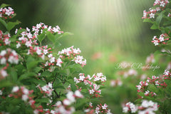 Lofaris Spring Child Blooming Flowers Portait Backdrop