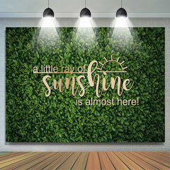 Lofaris Spring Little Ray Of Sunshine Baby Shower Backdrop