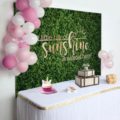 Lofaris Spring Little Ray Of Sunshine Baby Shower Backdrop