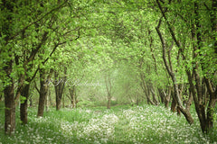 Lofaris Spring Summer Flowers Forest Backdrop For Photo Booth