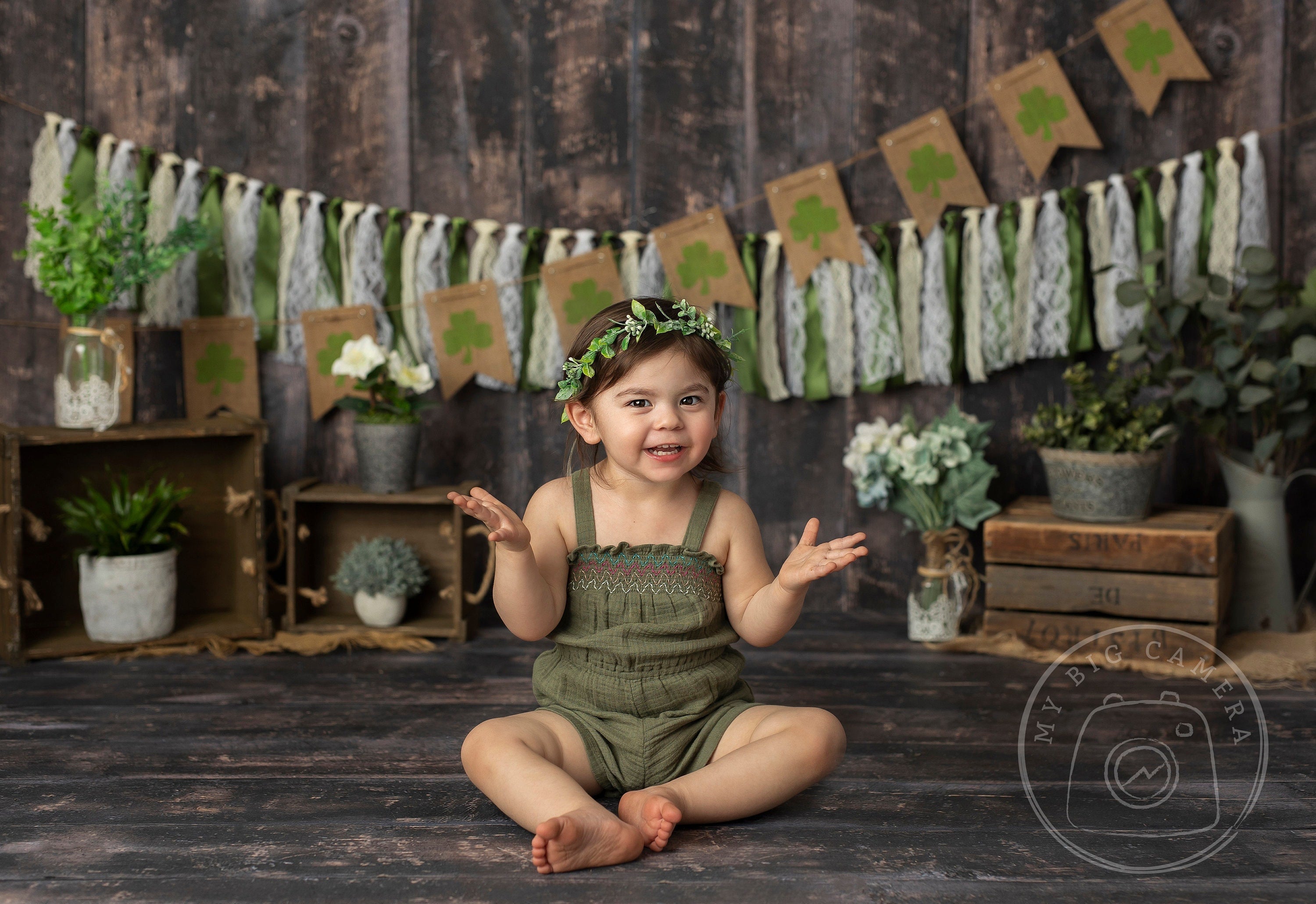 Lofaris St Patricks Day Mini Sessions Photography Backdrop