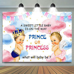 Lofaris Sweet Baby Pink Blue Cloud Gender Reveal Backdrop