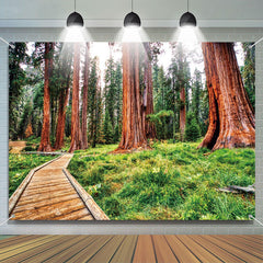 Lofaris Towering Tree Wood Board Path Spring Forest Backdrop