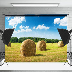 Lofaris Valley Haystack Blue Sky Woods Photography Backdrop