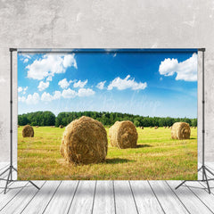 Lofaris Valley Haystack Blue Sky Woods Photography Backdrop