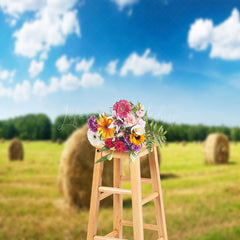 Lofaris Valley Haystack Blue Sky Woods Photography Backdrop