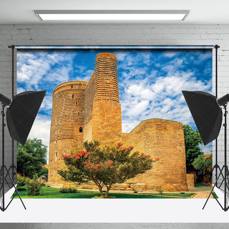 Lofaris Vintage Brick Wall House Blue Sky Photo Backdrop