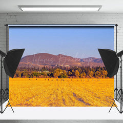 Lofaris Wheat Field After Harvest With Blue Sky Backdrop